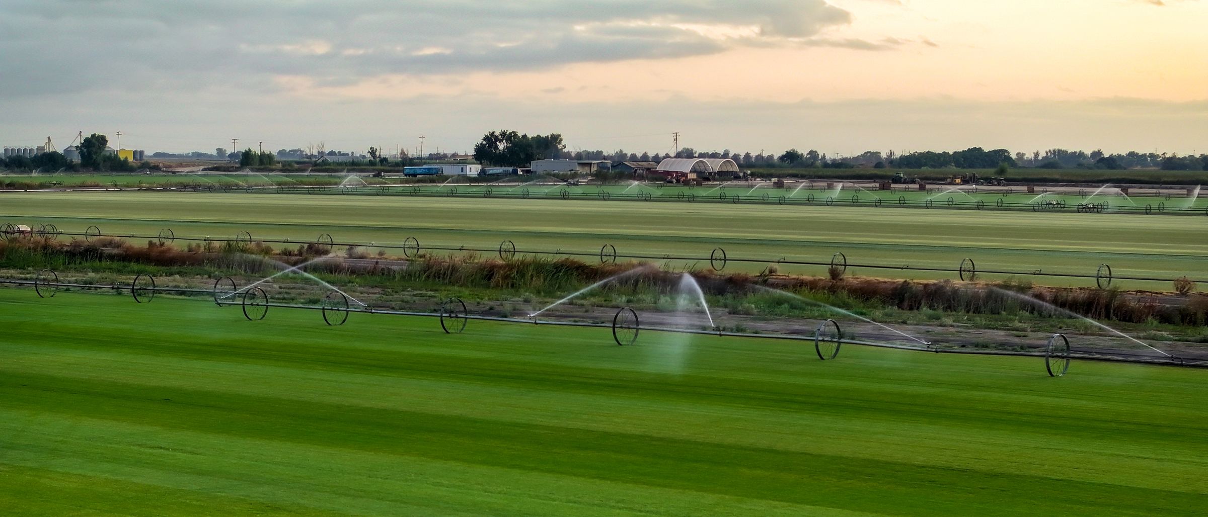Wheel-line irrigation spraying across an A-G Sod Farms field at golden hour