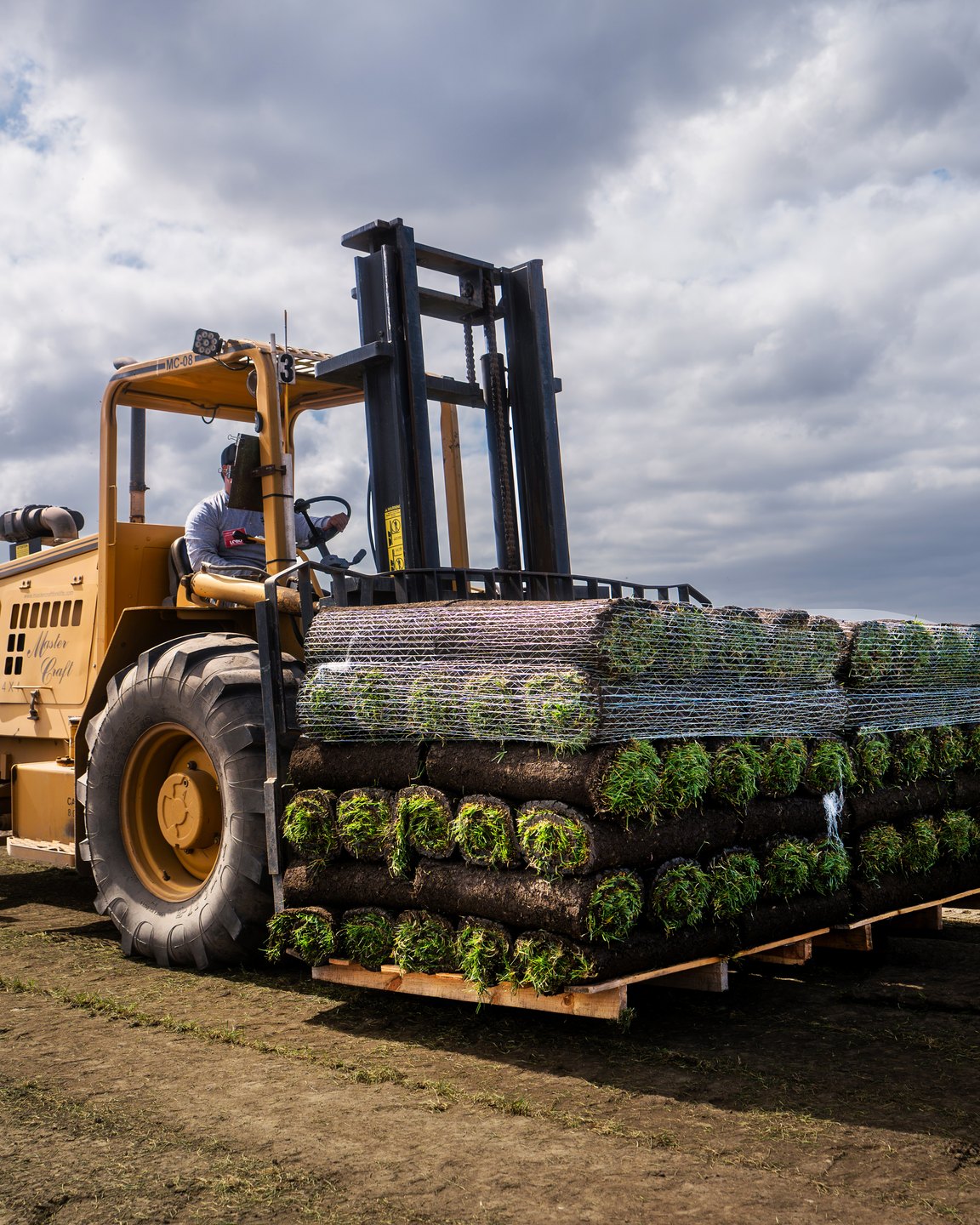 A forklift operator carrying a pallet stacked with fresh rolls of sod along a dirt track beside a farm field