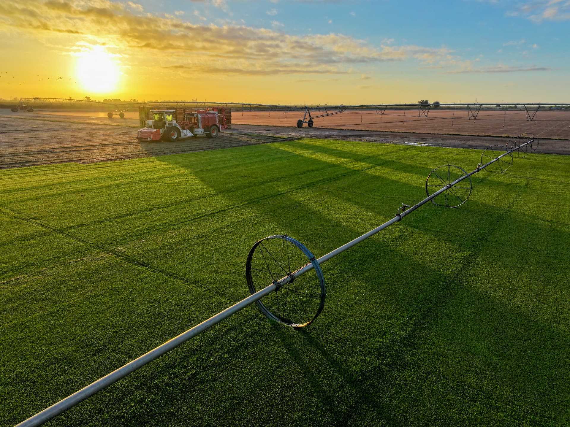 A-G Sod Farms harvest equipment at golden hour with a wheel line irrigation pipe crossing the field