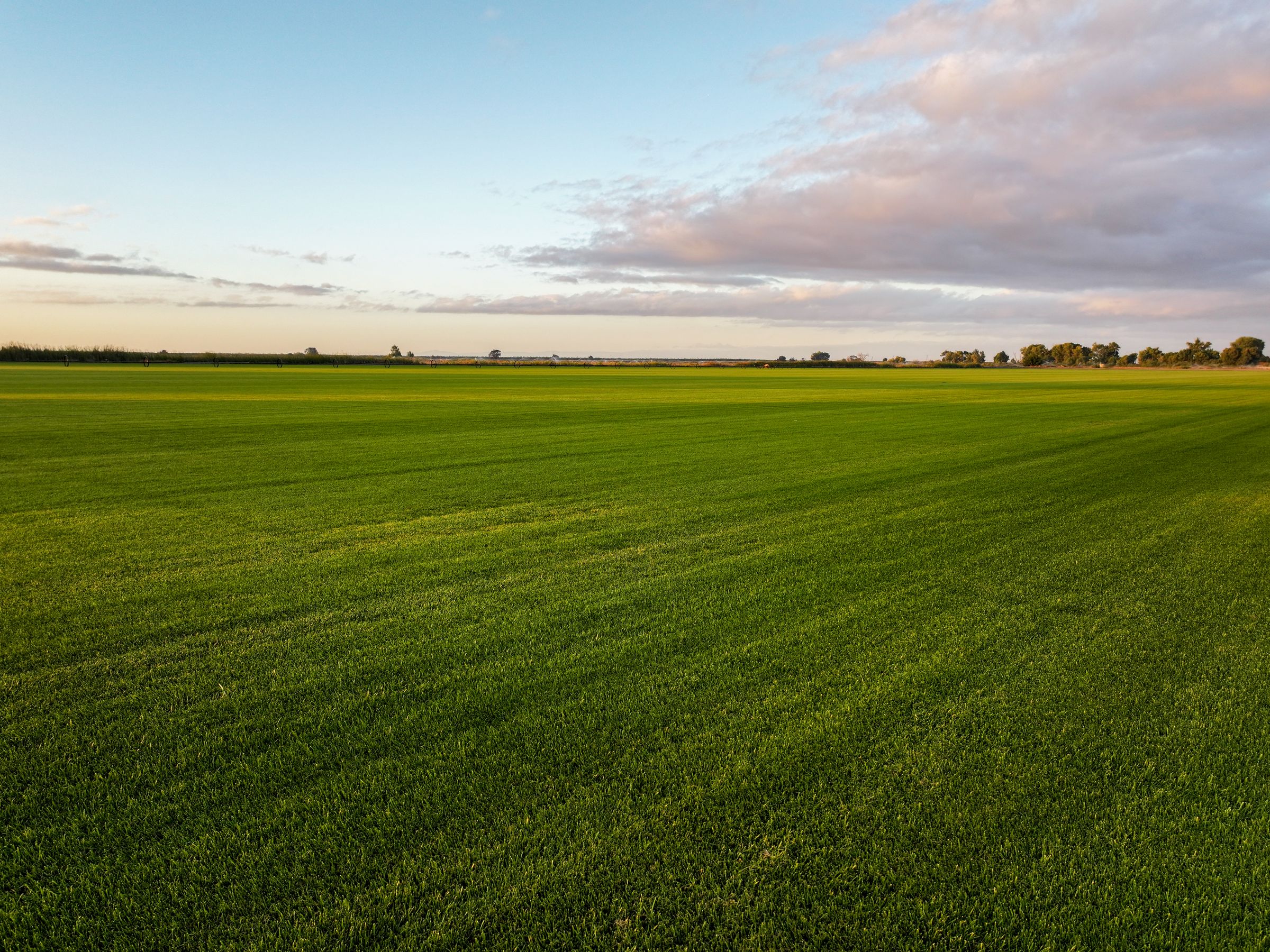 Landscape Contractors