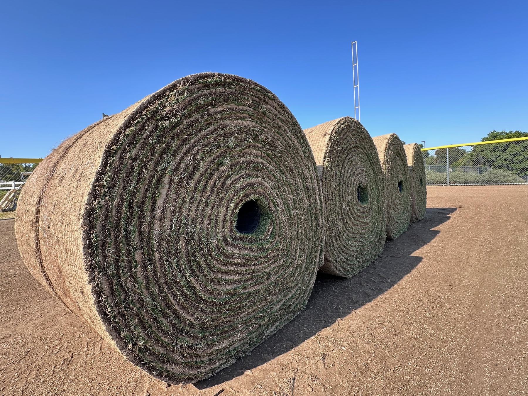 Big Roll, sprig, and full-service installation.