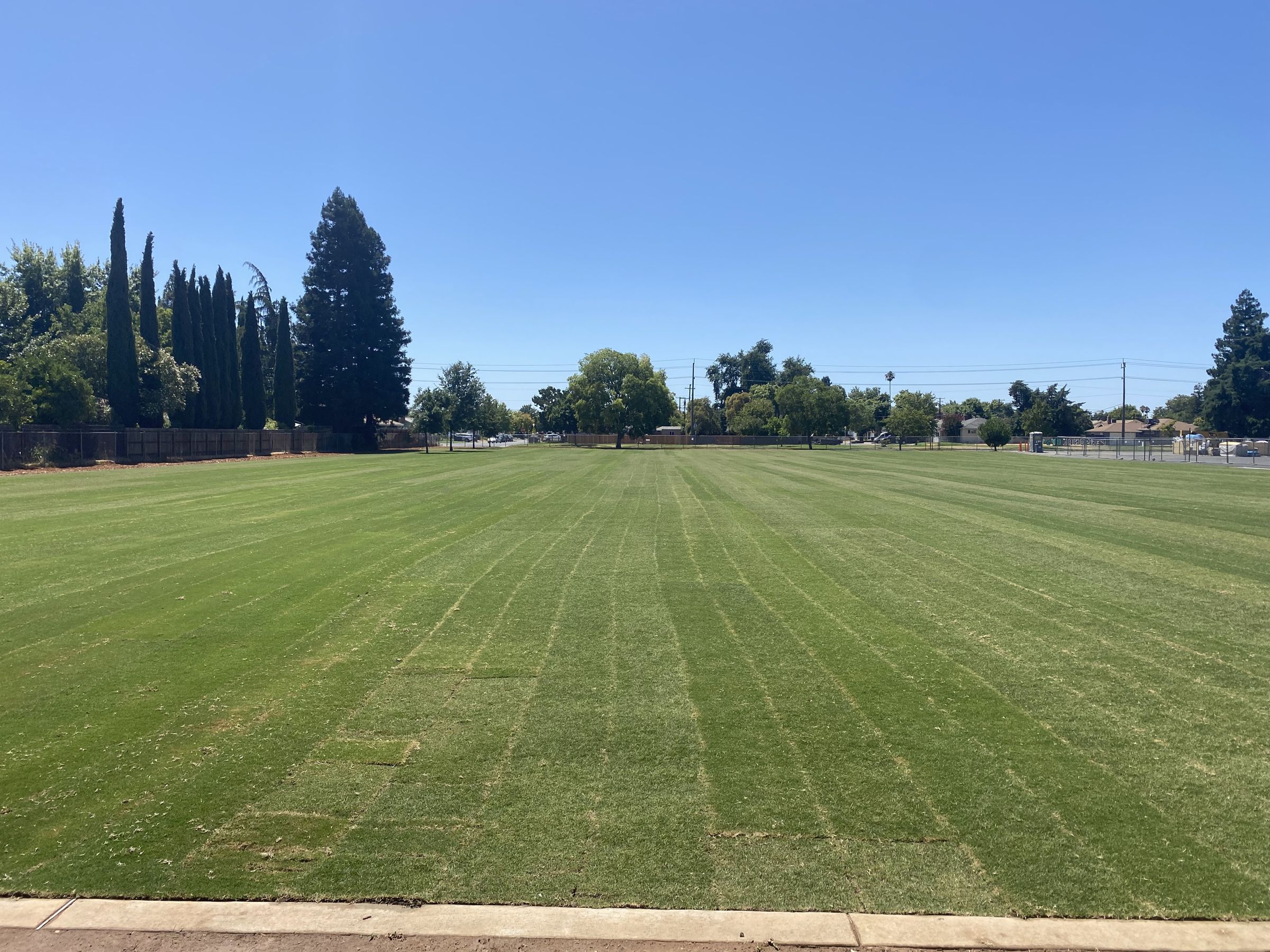 Bonnheim Elementary, project photo 1