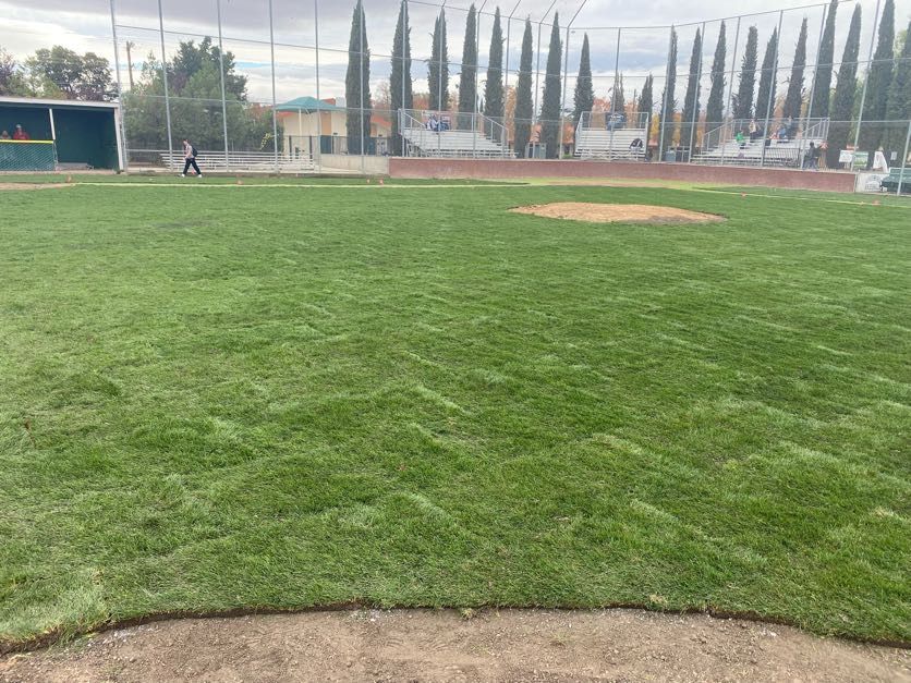 Livermore High School, project photo 2