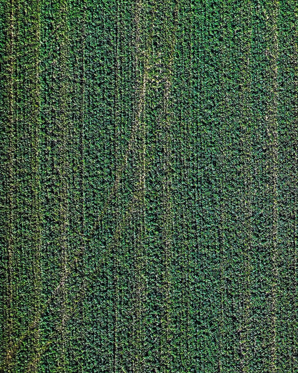 Aerial view of an A-G Sod Farms field
